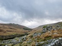 D-Lux 05-1020294 PS Adj.JPG