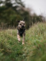IMG_3159-1-1.jpg