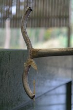 _7816065-2.jpg
