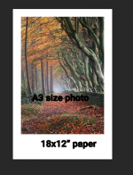 1731856725823.png 1731856725823.png