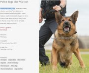 Screenshot 2024-11-25 234921.jpg