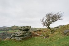 010 Bench Tor (Lone Tree (40mm)) 04-000138740010 PS Adj.JPG 010 Bench Tor (Lone Tree (40mm)) 04-000138740010 PS Adj.JPG