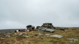 009 Doe Tor (Ponies) 03-9413 PS Adj.JPG 009 Doe Tor (Ponies) 03-9413 PS Adj.JPG