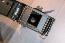 20241213-X1002751 - Copy.jpg