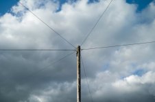 Side Lit Telephone Pole-1004891 PS Adj.JPG Side Lit Telephone Pole-1004891 PS Adj.JPG