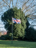 Flag in Sunlight-1020371 PS Adj Upload.JPG