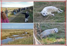 Cropped print received from Snapfish.jpg