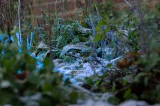 Week 2 - Cold.jpg