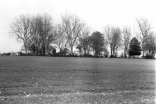 FILM B&W.jpg