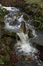 IMG_9226water.jpg