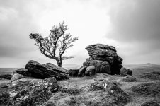 008 Emsworthy Rocks 01-1002192 PS Adj B&W Upload.JPG
