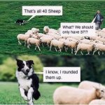 IMG_1217.jpeg