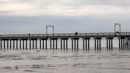 Week 9 - Horizontal 1.JPG