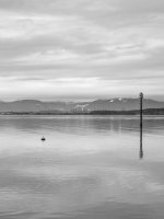 Week 9 - Horizontal 3.JPG