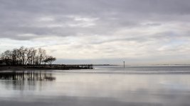 Week 9 - Horizontal 4.JPG