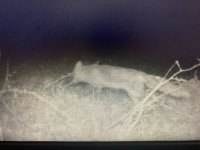 WhatsApp Image 2025-03-13 at 16.54.43_d37431b2.jpg