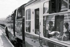 Reflections on a Train Scan.jpg