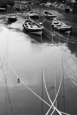 Ropes and Boats PTF 2  Scan.jpg