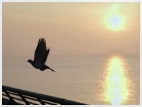 IMG_1558.jpeg