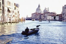 Venice Dog in Boat  Scan.jpg