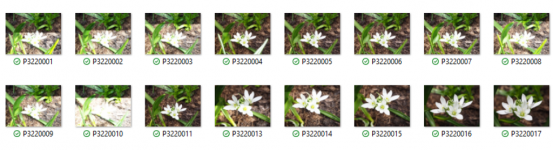 Screenshot (41).png Screenshot (41).png