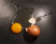 5P8A4977.jpg
