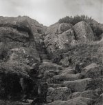 2025-3-24 Hadrians Wall, 124G, XP2, EI200, HC110 Dil E, 004.jpg