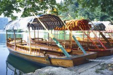 Gondoliers Lake Bled Scan.jpg