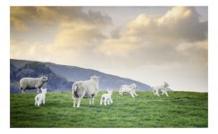 2012-4-14, Canon EOS300, Portra 160, Borrowdale 1-Edit.jpg