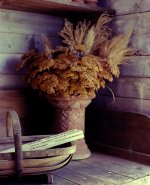 2013-8-3, RHS Harlow Carr, RZ67, Portra 400, Digibase, 1.jpg