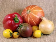 2013-10, RZ67, Studio, Portra 160, Digibase, 2.jpg