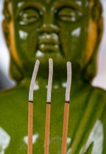 Week 15 - Snappers Choice 4.JPG