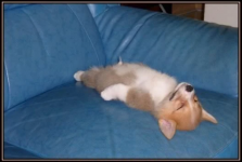 Screenshot 2025-04-17 071216.png