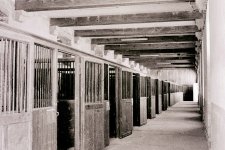 Contax G1 Stables LSF.jpg