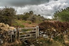 008 Vixen Tor 06-9693 PS Adj Upload.JPG
