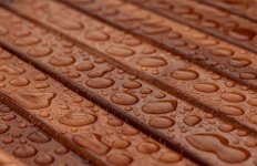 After the Rain.jpg