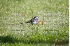 Screenshot 2025-04-22 182121.jpg