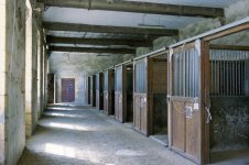 Contax RTS Pompadour Stables LSF 2.jpg