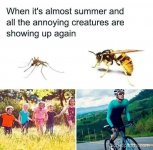FB_IMG_1745592226754.jpg