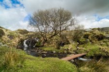 016 Black Tor Falls 05-1002516 PS Adj Upload.JPG