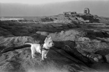 Afga Box_Not sure about the film (no edge markings) but maybe Fomapan_Dog and Powder House, Se...jpg