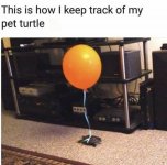 IMG_6101.jpeg