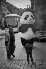 2308CPLXBW19 Panda.jpg 2308CPLXBW19 Panda.jpg