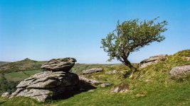 028A Bench Tor 06-000150250011 PS Adj Upload.JPG