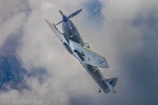 DSC_1873.jpg