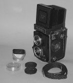 Seagull TLR.jpg