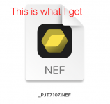 pic.png