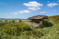 015 Little Bellever Tor (Logan Stone) 01-1002558 PS Adj Upload.JPG