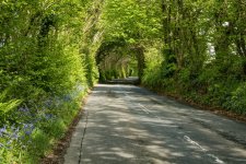 002 Nifty Fifty Hedgerows 01-1002125 Upload.JPG