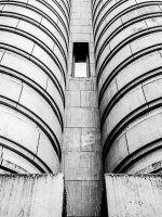 Week 19 -  Symmetry 2.JPG